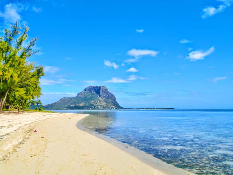 Île aux Bénitiers: Snorkeling w/Dolphins Boat Tour & Lunch - The speedboat ride and sea conditions