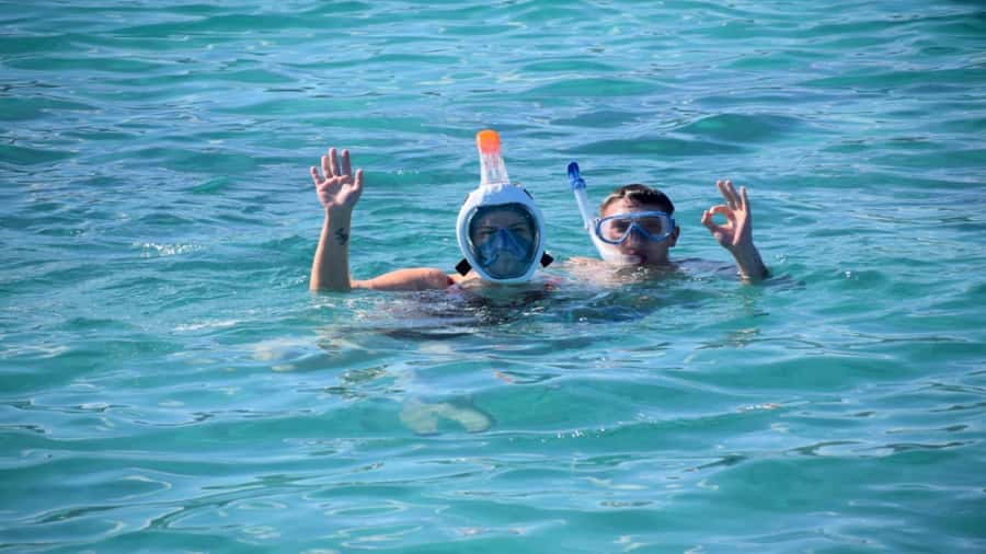 Île aux Bénitiers Snorkeling with Dolphins + Seafood Lunch - Snorkeling beside Crystal Rock