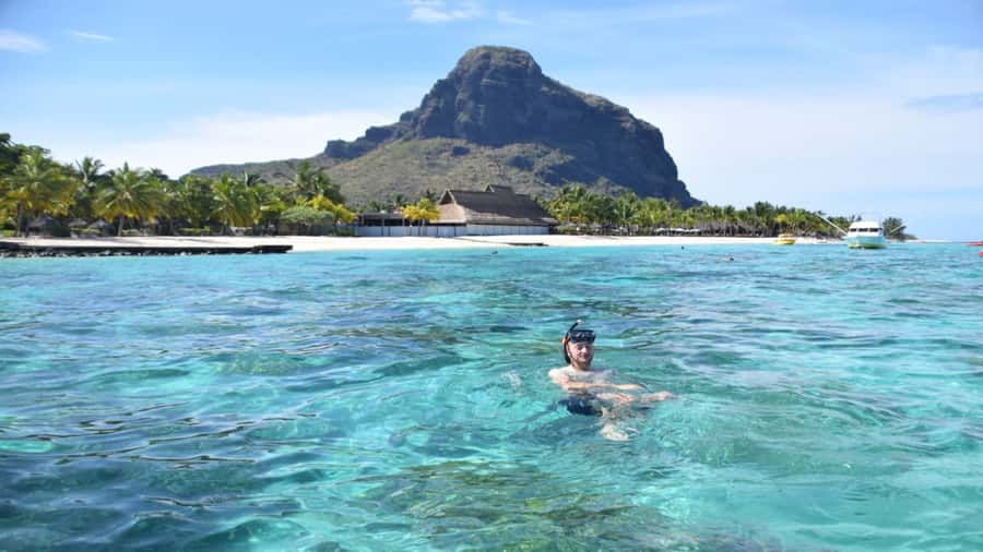 Île aux Bénitiers Snorkeling with Dolphins + Seafood Lunch - Who will enjoy this boat trip most