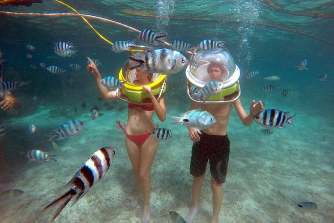 Ile aux Cerf: Speed boat with Parasailing & Tube Riding and Lunch - Ile aux Cerfs gives you both beach time and busy water sports