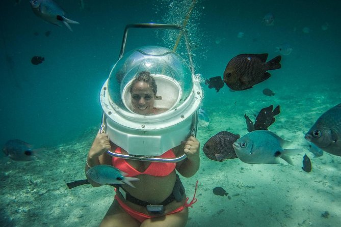 Ile aux Cerf: Speed boat with Parasailing & Tube Riding and Lunch - Grand River South East adds wildlife to the final hour