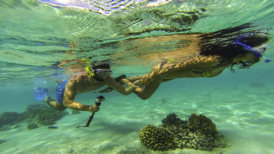 Ile Aux Cerfs Catamaran Cruise & Waterfalls- Lunch & Drinks - Key points to know