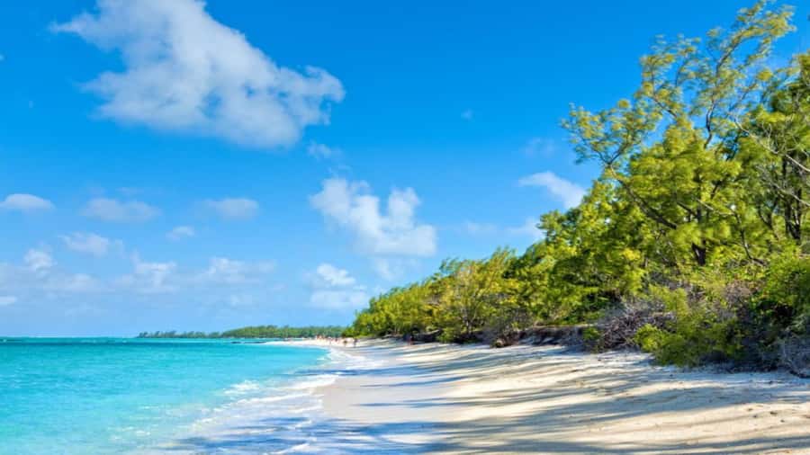 Ile Aux Cerfs Catamaran Trip w/ Lunch, Drinks & Transfer - Is $115 a fair price?