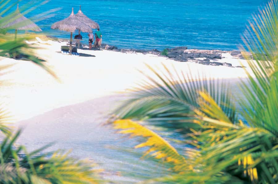 Ile aux Cerfs: Island & Waterfall Speedboat Tour with Lunch - From Trou d’Eau Douce to Grand River South East