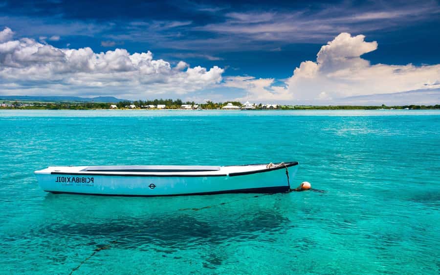 Ile aux cerfs: Private picnic, waterfall, bbq beach lunch - Key points to know before booking