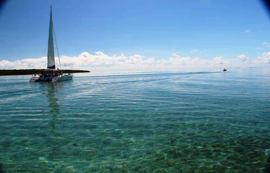 Ile aux Cerfs: The very best day by catamaran. - Barbecue lunch with wine, beer, and rum