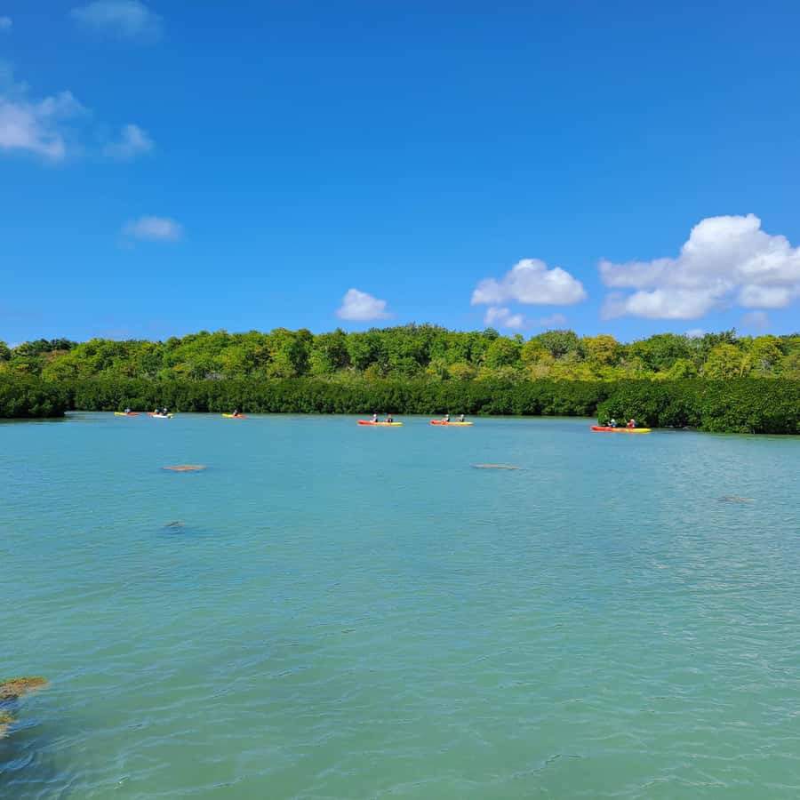 Ile d Ambre Kayaking - Slaloming between pirogues toward the park