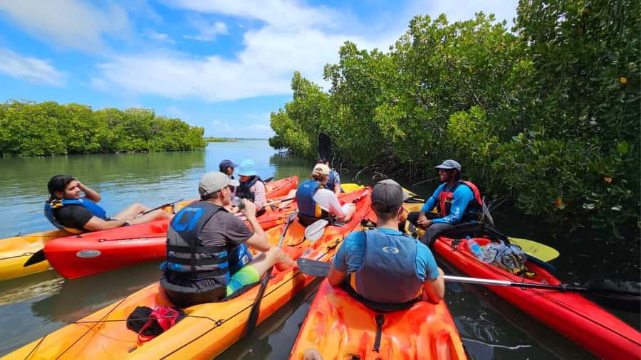 Ile d Ambre Kayaking - The return paddle and total timing