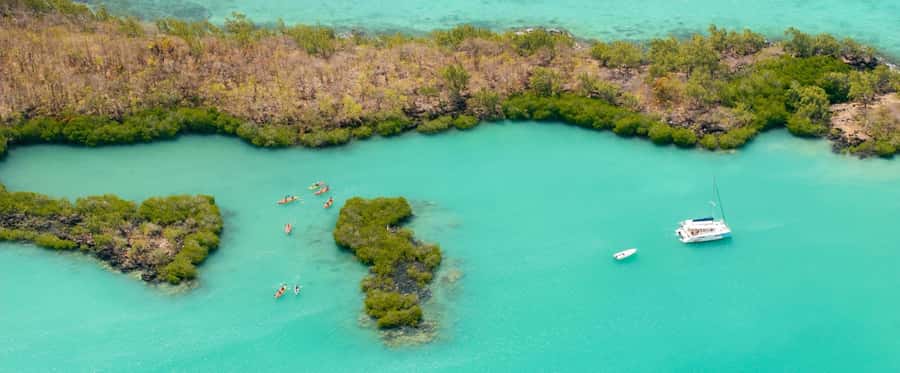 Ile d Ambre Kayaking - What the praise tells you about the experience