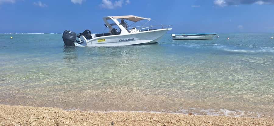 La Preneuse: Dolphin Watching and Snorkeling Speedboat Tour - Why the two-hour schedule works