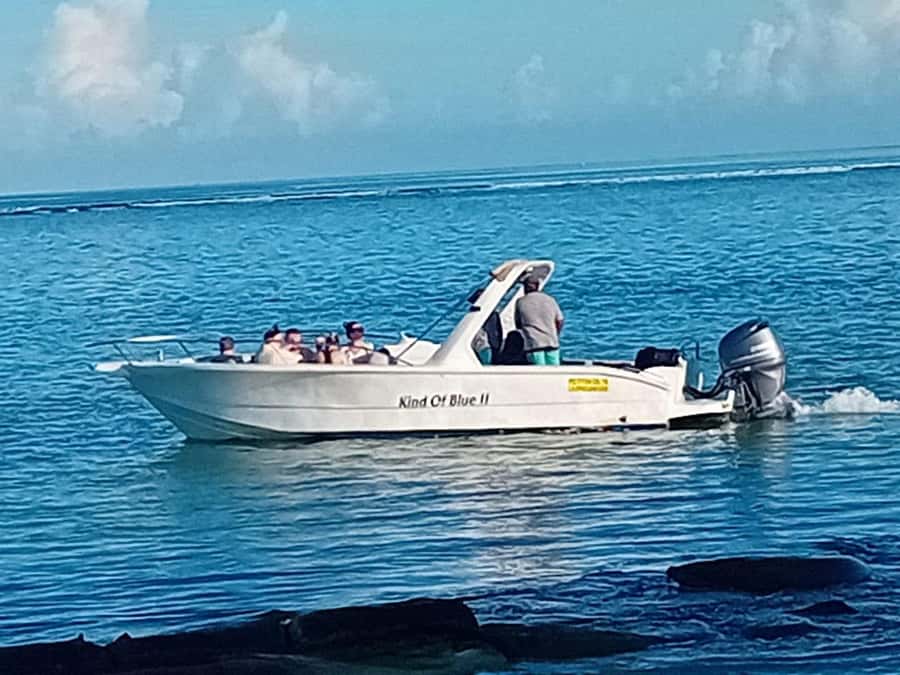 La Preneuse: Dolphin Watching and Snorkeling Speedboat Tour - What the $58 price covers