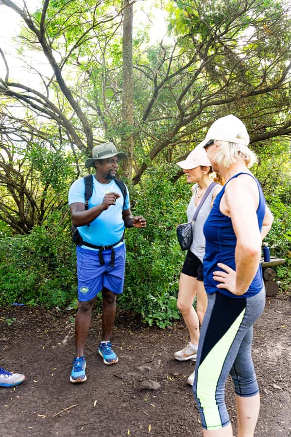 Le Morne Brabant: UNESCO Mountain Hike & Local Guides - What the local guides add
