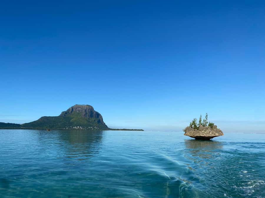 LE MORNE DOLPHINS SUNRISE TRIP - The value of $435 for up to four people
