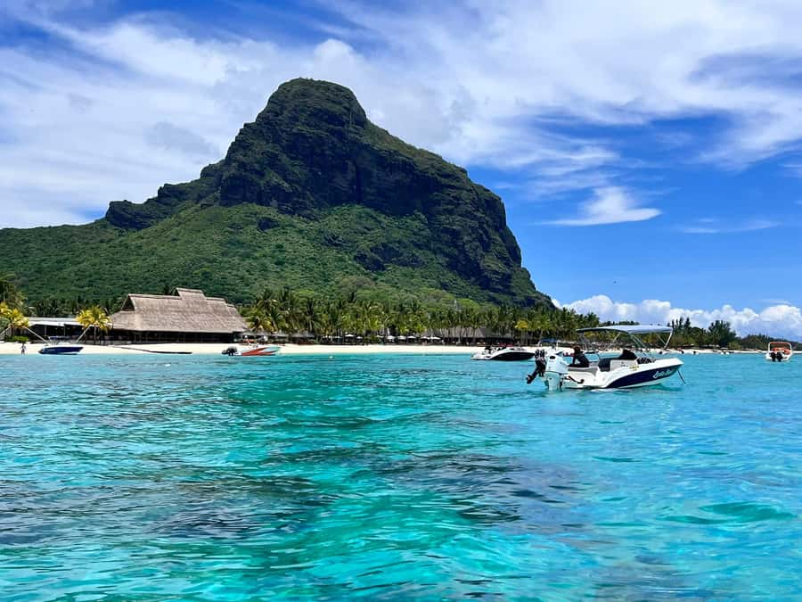 Le Morne: Private Boat Tour Dolphin-Watching & swimming - The animal-friendly approach matters