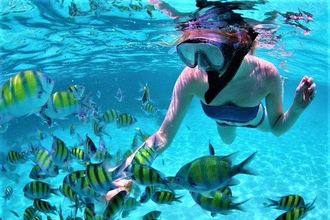 Luxury All-Inclusive Catamaran Cruise to Ile aux Cerfs and GRSE Waterfall - BBQ Lunch and an Open Bar