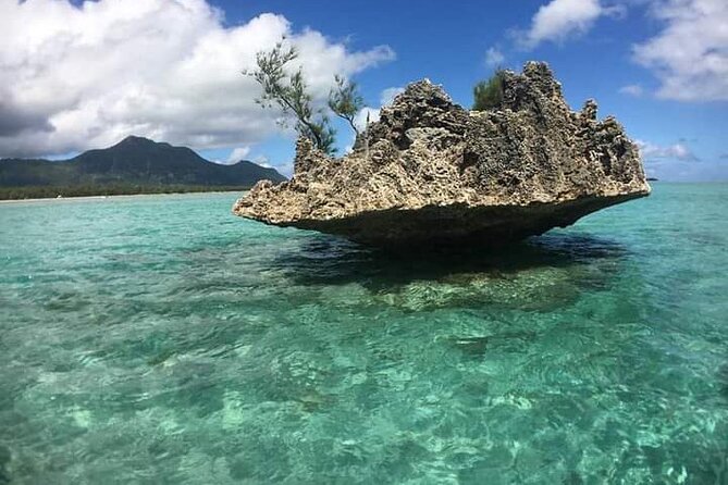 Lydia Boat Mauritius :Private boat tour:Whales&Dolphins encounter - Timing, weather, and cancellation
