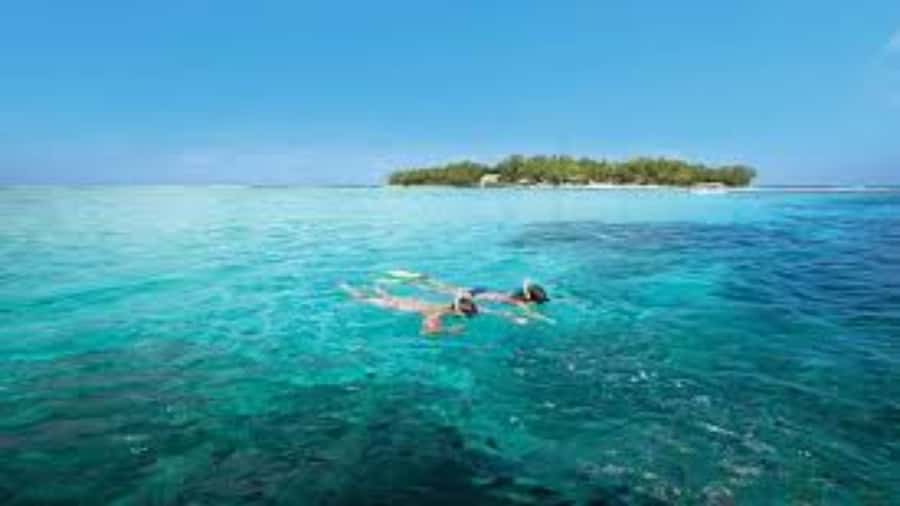 Mahebourg: L'île des Deux Cocos Island Boat Tour with Lunch - Blue Bay Marine National Park and the snorkeling reality