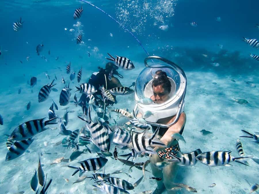 Mauritius: 3 Activities + Ile aux Cerfs Boat tour w/ BBQ - Key points to know before booking