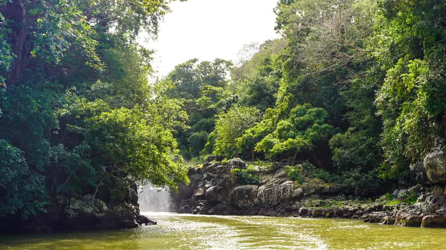 Mauritius: 3 Activities + Ile aux Cerfs Boat tour w/ BBQ - Who will enjoy this Mauritius day most?