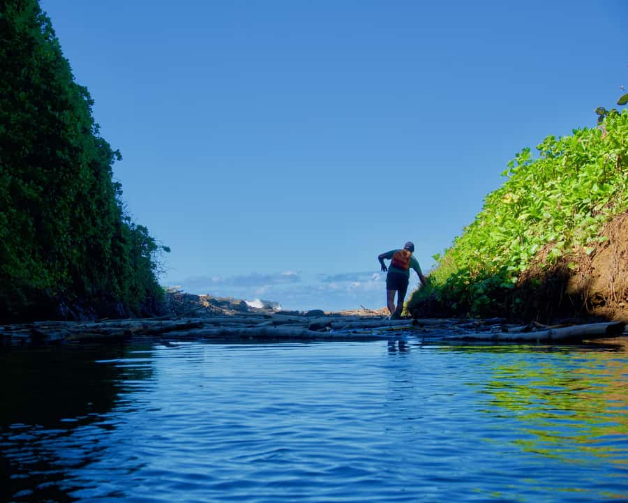 Mauritius: 3-Hour Hiking the Wild South Excursion - Starting at Gris Gris Public Beach