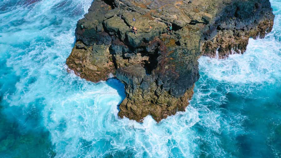 Mauritius: 3-Hour Hiking the Wild South Excursion - Forest paths before the coast