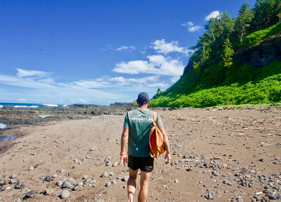 Mauritius: 3-Hour Hiking the Wild South Excursion - Is $64 a fair price?