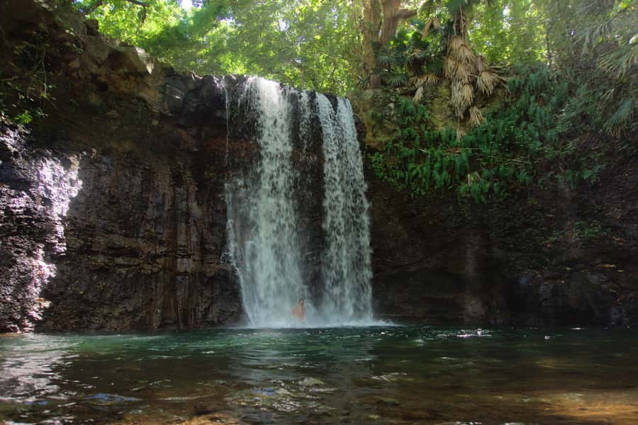 Mauritius: 3-Hour Hiking the Wild South Excursion - Waterfalls and natural pools