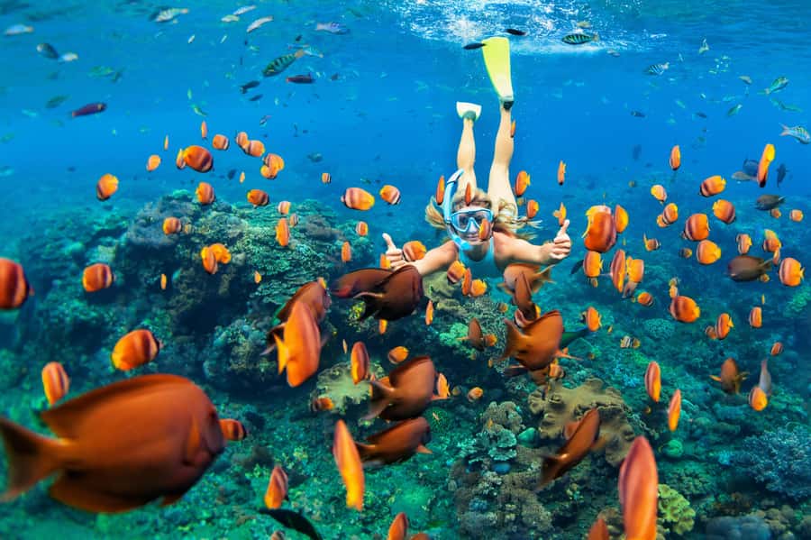 Mauritius: 5 East Coast Islands Tour with Snorkeling & Lunch - Why this east coast route works