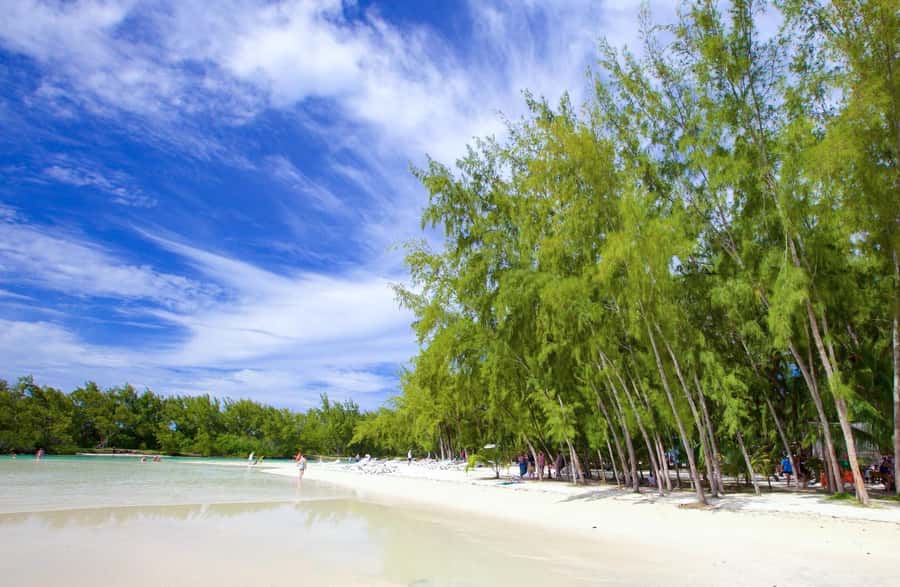 Mauritius: 5 East Coast Islands Tour with Snorkeling & Lunch - Snorkeling at Eau Bleu and swimming at Ile aux Aigrettes