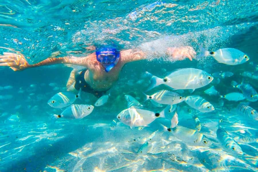 Mauritius: 5 East Coast Islands Tour with Snorkeling & Lunch - Practical advice for a better day