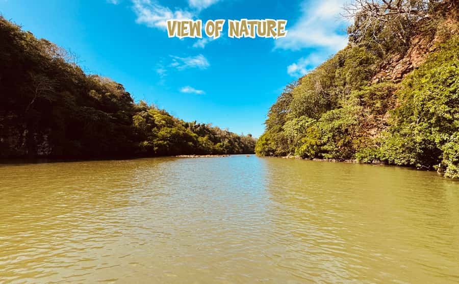 Mauritius: 5 Islands of the East Speedboat Tour with BBQ - Île de la Passe and Île aux Flamant