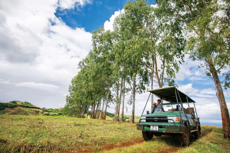Mauritius: Bel Ombre Nature Reserve 4x4 Safari Adventure - Looking for endemic birds and native wildlife