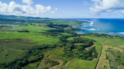 Bel Ombre Nature Reserve Quad Bike Tour