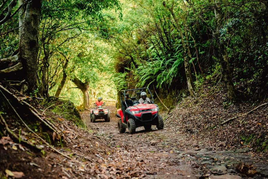 Mauritius: Bel Ombre Nature Reserve Quad Bike Tour - How the guides handle beginners