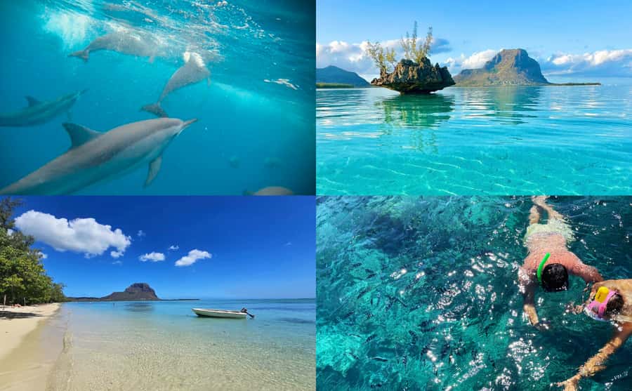 Mauritius: Benitier Island - Swim Dolphins - Speedboat & BBQ - Key points at a glance