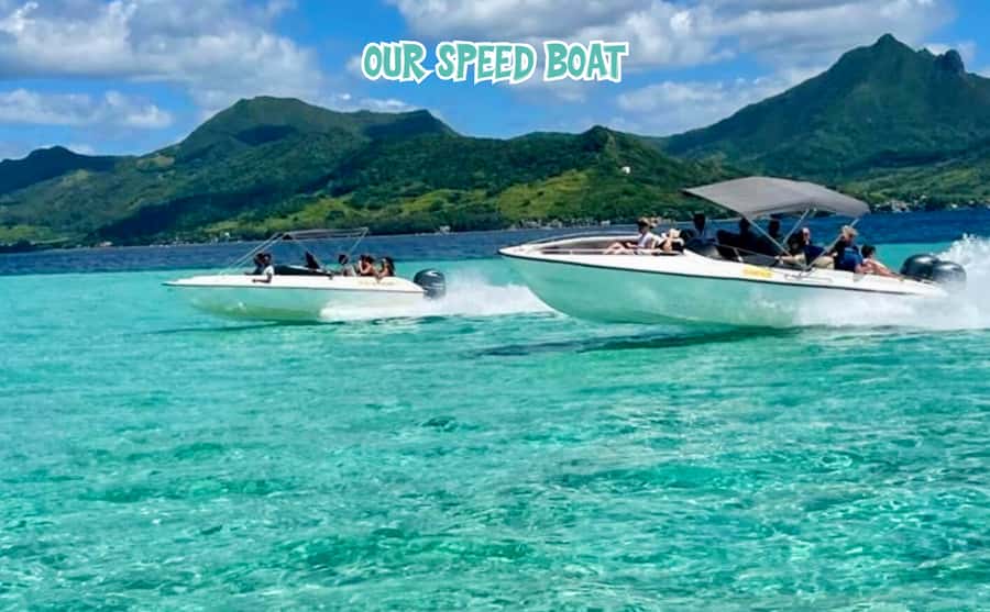 Mauritius: Benitier Island - Swim Dolphins - Speedboat & BBQ - Snorkeling around La Preneuse or Crystal Rock