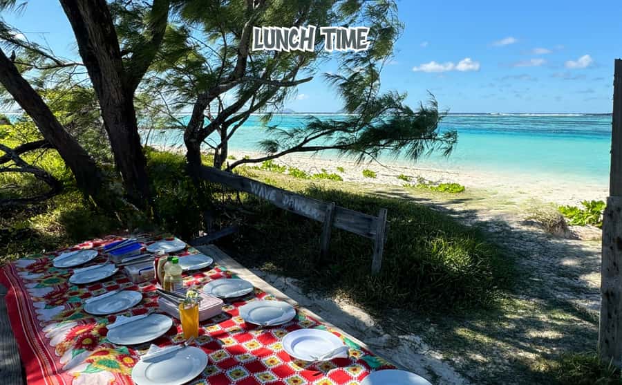 Mauritius: Benitier Island - Swim Dolphins - Speedboat & BBQ - Crystal Rock and the view toward Le Morne Brabant