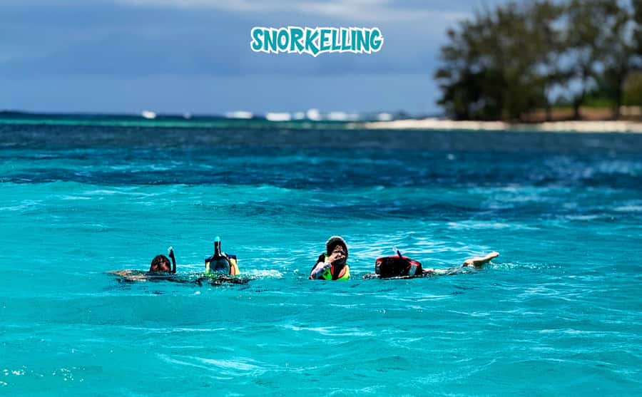 Mauritius: Benitier Island - Swim Dolphins - Speedboat & BBQ - Benitier Island, from coral island to lunch stop