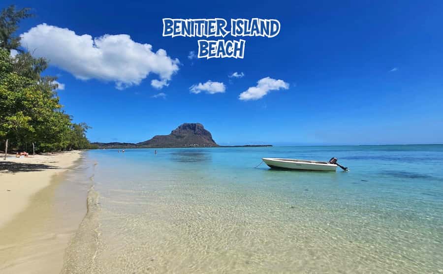 Mauritius: Benitier Island - Swim Dolphins - Speedboat & BBQ - The dolphin ethics question