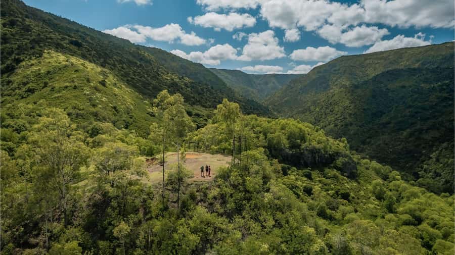 Mauritius: Black River Gorges National Park 3-Hour Hike - Three hours through forest, gorges, and valleys