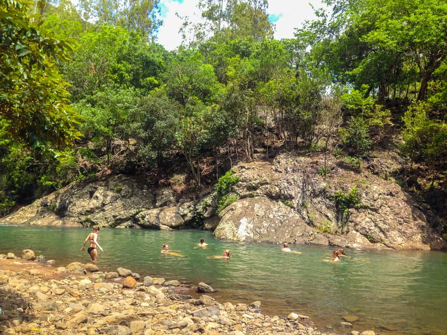 Mauritius: Black River Gorges National Park 3-Hour Hike - Viewpoints above the Black River Gorges