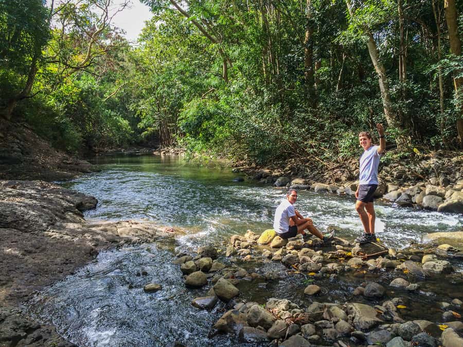 Mauritius: Black River Gorges National Park 3-Hour Hike - What the $64 price includes