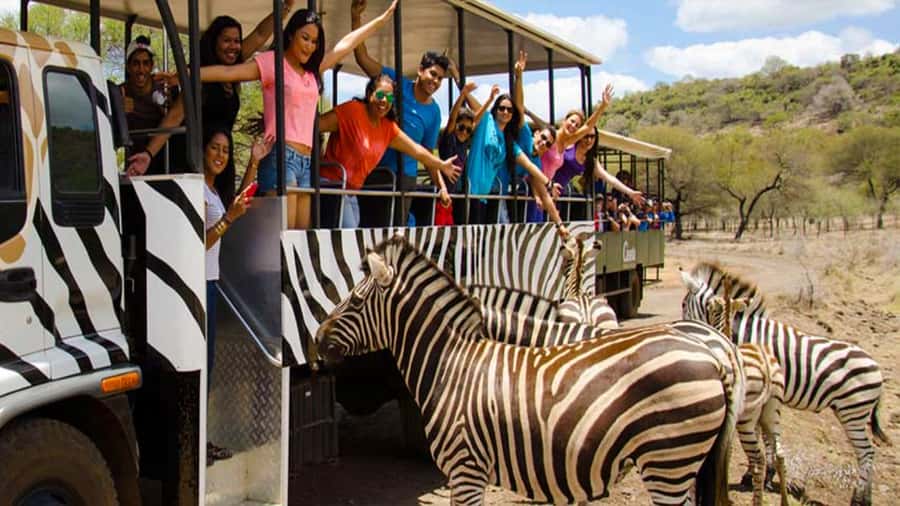 Mauritius: Casela Nature Parks Entrance Ticket with Transfer - Practical Tips for a Better Visit
