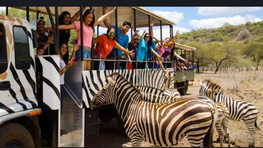 Mauritius: Casela nature parks & flic en flac beach - Private pickup makes a big difference in Mauritius