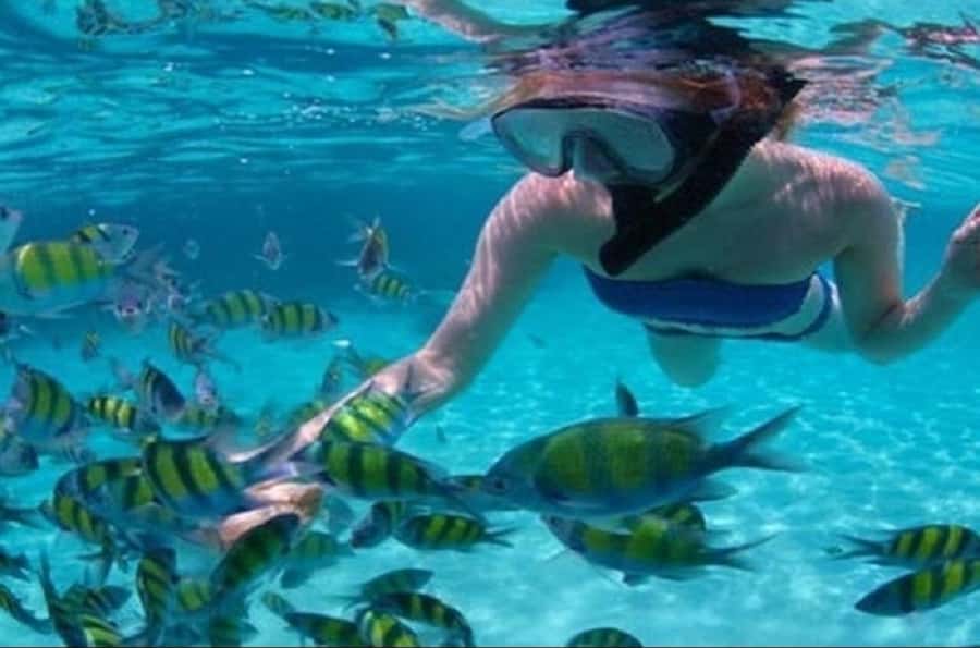 Mauritius: Catamaran cruise to 3 Northern Isles with lunch - Flat Island and the changing route