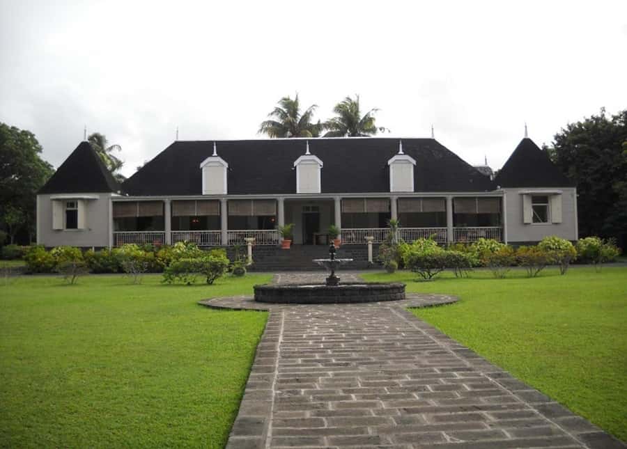 Mauritius: Crocodile Park and Tea Factory Tour with Tasting - A private tour changes the feel of the day