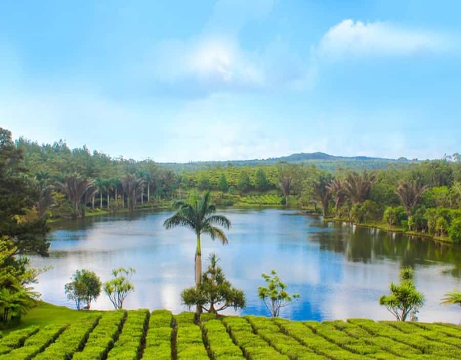 Mauritius: Customizable Private Tour by Car - Why a private car makes sense in Mauritius