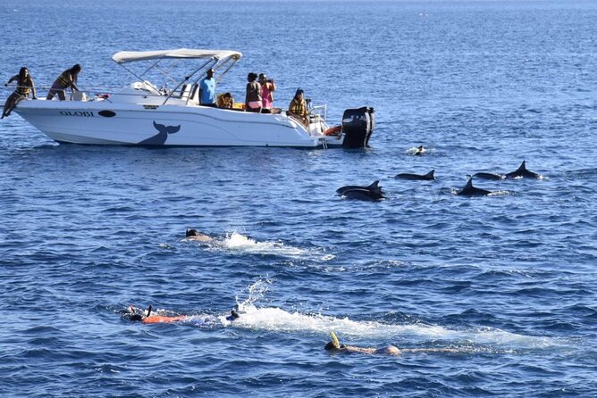 Mauritius : Dolphins Swim and Ile Aux Bénitiers with BBQ - Meeting at Tamarin Public Beach