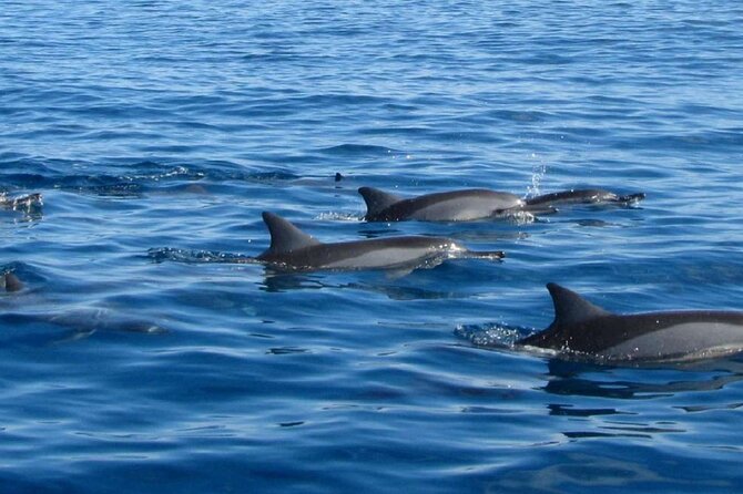 Mauritius : Dolphins Swim and Ile Aux Bénitiers with BBQ - BBQ Lunch on Ile aux Bénitiers