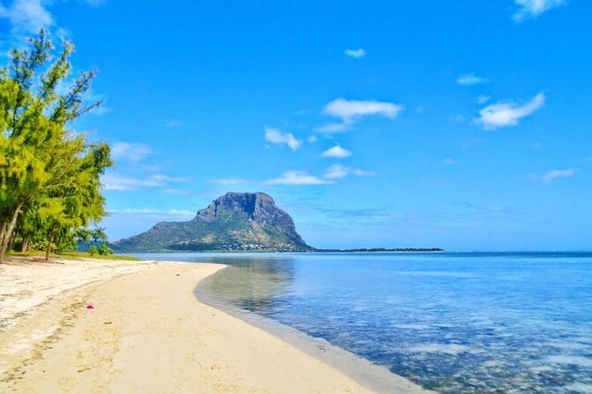 Mauritius : Dolphins Swim and Ile Aux Bénitiers with BBQ - Timing, Fitness, and What to Bring